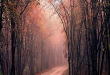 篮球教练发布在线训练视频，鼓励球迷保持锻炼