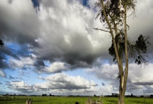 快狼队势不可挡，多场胜利证明实力