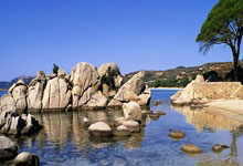 篮球教练发布在线训练视频，鼓励球迷保持锻炼